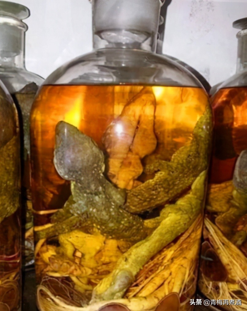 活蛇泡酒寄生虫能泡死么,蛇泡酒泡了三年没死还咬死个人