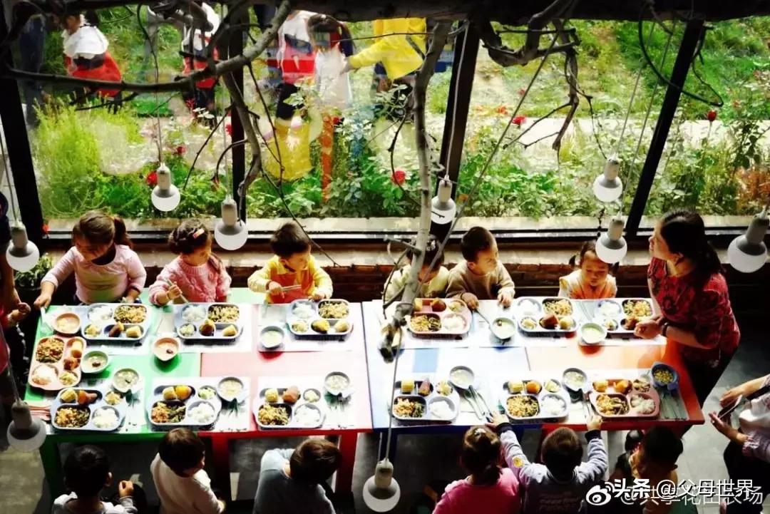 国内不太偏的亲子小众旅游 (全球最适合亲子游的十大旅游胜地)