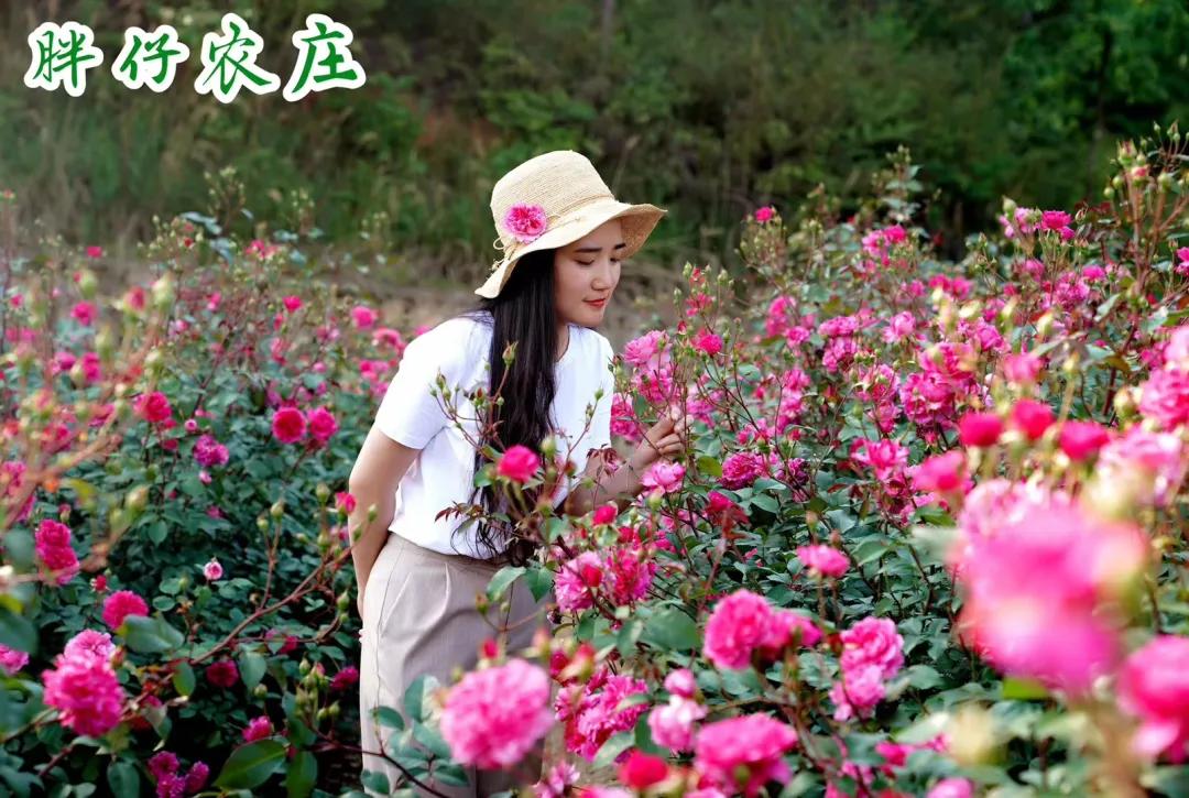 长沙周边旅游自由行攻略一日游,长沙周边景点一日游旅游团