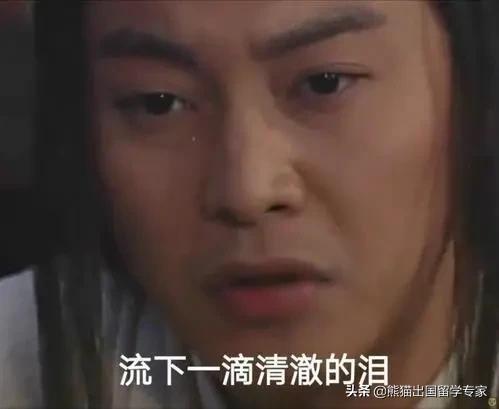 大批留学生购回国机票被骗,近百留学生网购回国机票被骗