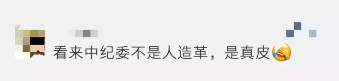 中纪委深夜发文,中纪委发表文章