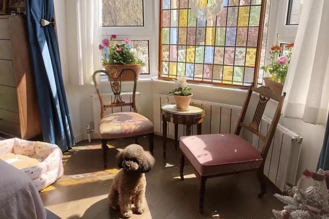 魔都夫妇新家,魔都夫妇家搬新家