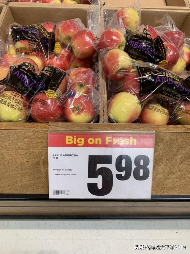 加拿大超市购物必买 (加拿大多伦多costco购物必买)