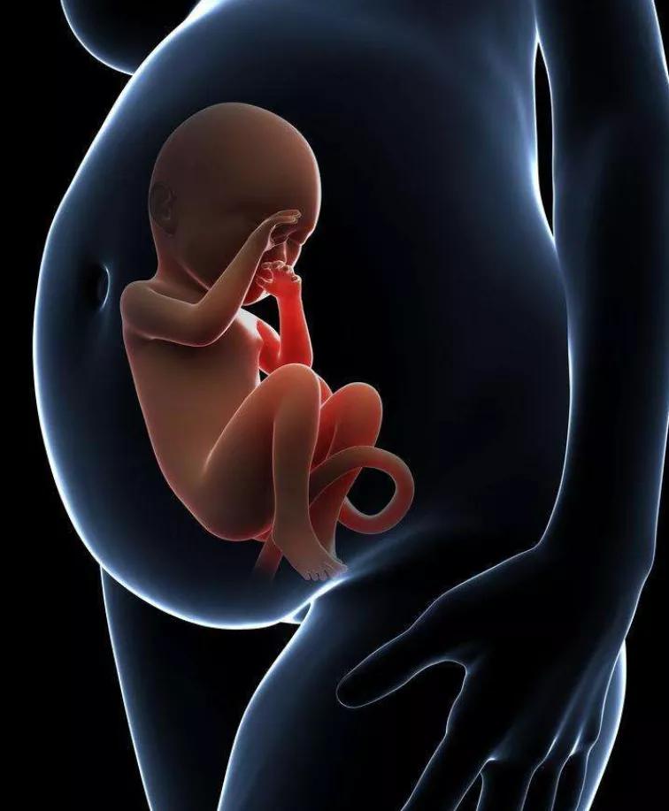 7天月经变化过程,7天月经变化