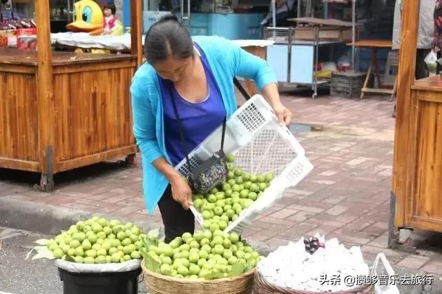 汶川三宝特色水果产业,汶川三宝果园