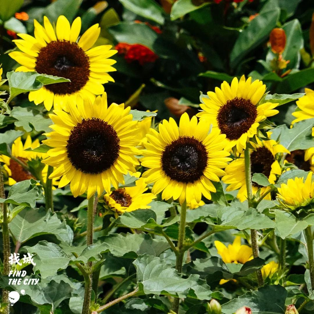 南宁最好的批发市场,南宁最便宜的家具批发市场在哪里