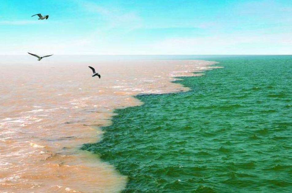 「原创诗词」管恩锋|莫言千载苍颜老也有风姿也有情(诗词21首)