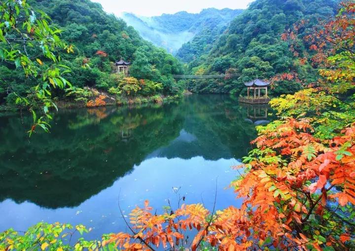 适合冬天的温泉酒店推荐,冬天日式温泉酒店