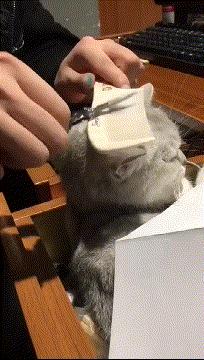 看了整整七分钟，他们最终还是上去了