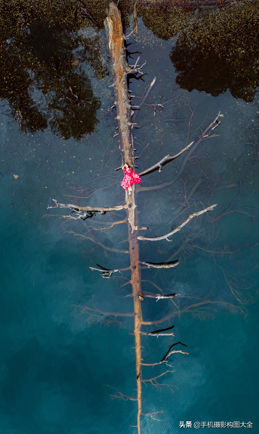 手机摄影拍出好照片10个技巧,适合初学者的手机摄影教程图