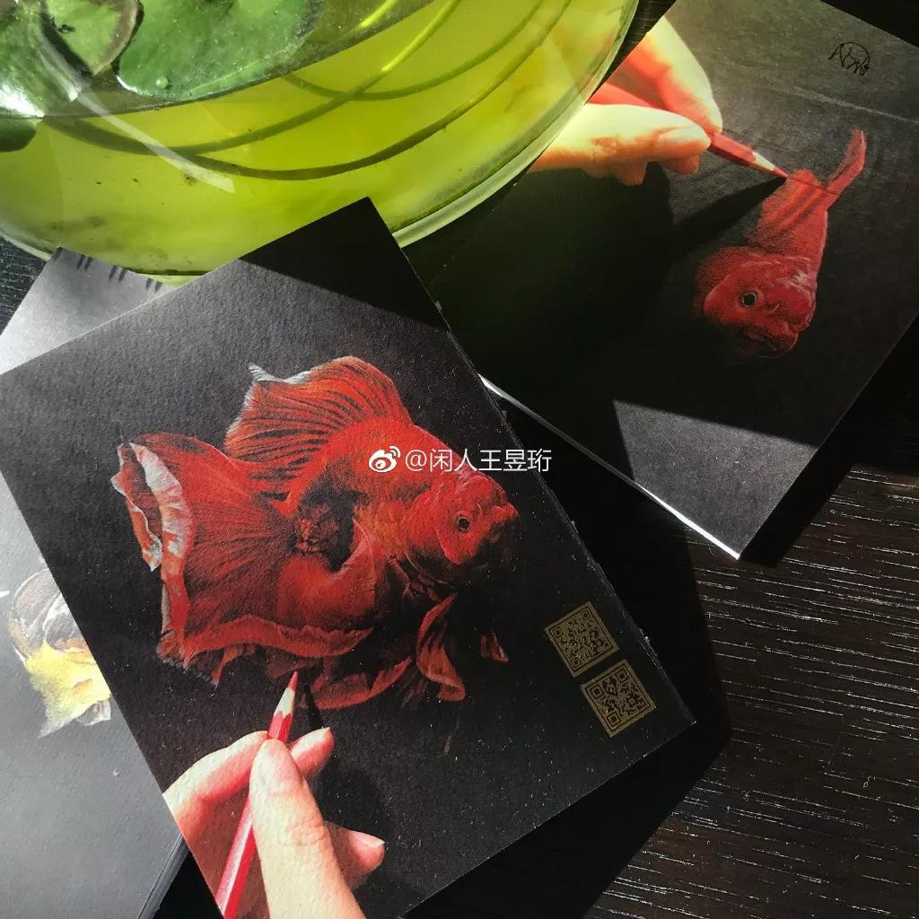 王昱珩上学经历,清华毕业的王昱珩