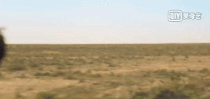 鍒锋柊浜嗗浗浜у墽鐨勬渶浣庡垎,鎺ㄨ崘鍥藉墽9.0浠ヤ笂璇勫垎