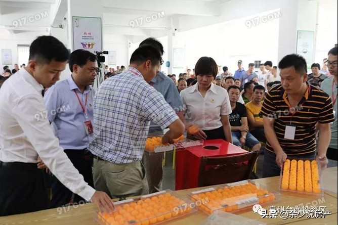 泉州十大片区改造,泉州南埔山片区征迁