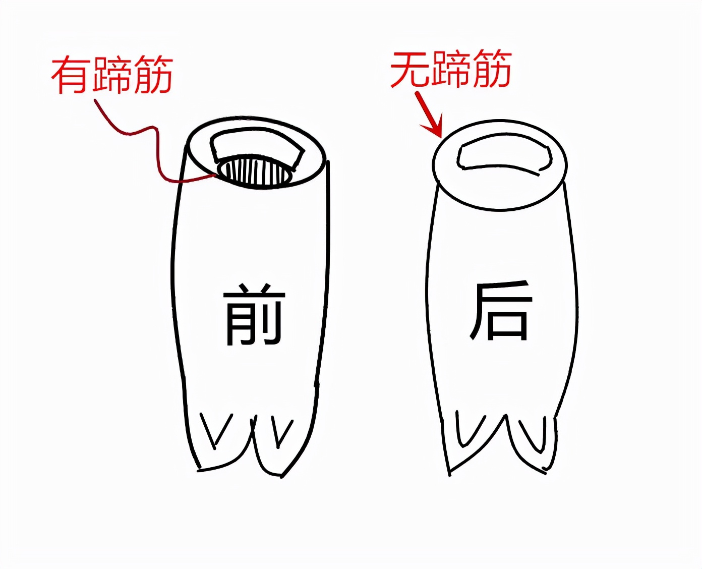 买猪蹄分前后么,买猪蹄前蹄好还是后蹄好