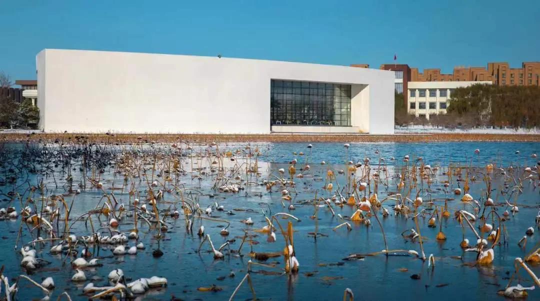 外面零下20℃，绿岛却沸腾了...