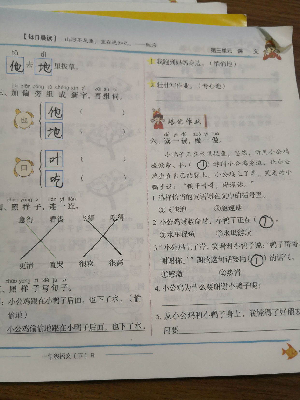 一年级下册公鸡和鸭子知识点,一年级第五课小公鸡和小鸭子生字