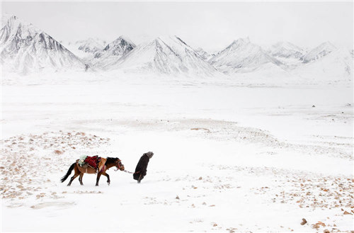 恒指期货开户所需资金及流程详解,恒指期货好做么