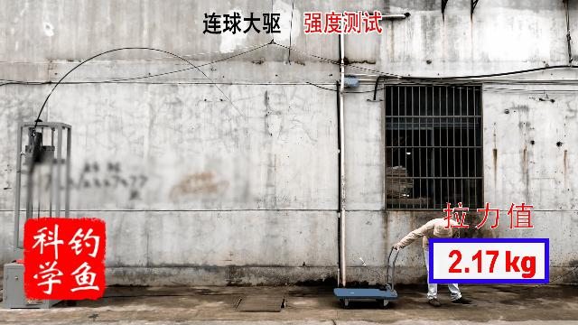 首发当日即成“爆款”！连球大驱配得上这么多大师推荐吗？