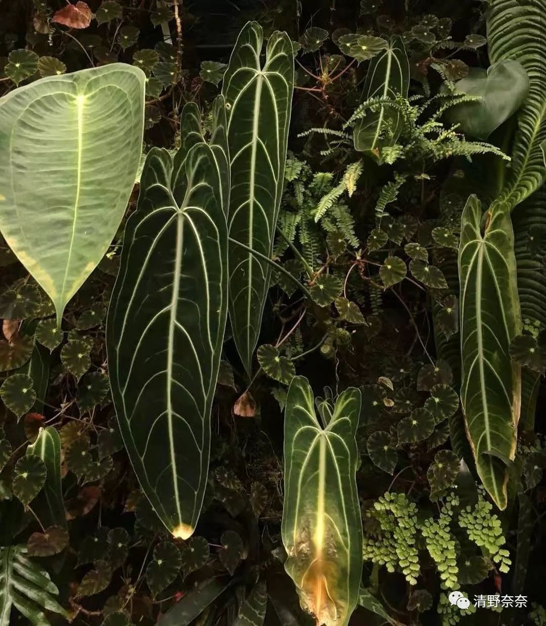 防晒霜过敏脸部自救方法,化妆品过敏紧急自救三步骤