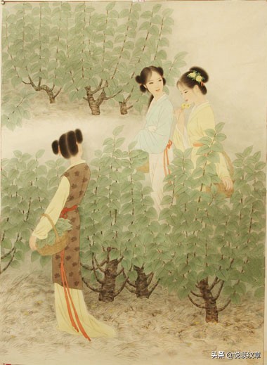 璇楃粡鍥介鍛ㄥ崡鑺ｈ嫝,璇楃粡鍛ㄥ崡鑺ｈ嫝鑳岃