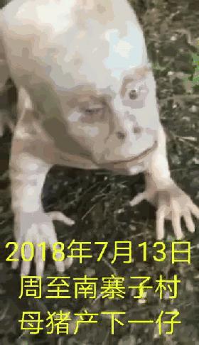 超度加500元下辈子投胎美国？年度沙雕谣言合集，笑死人不偿命！