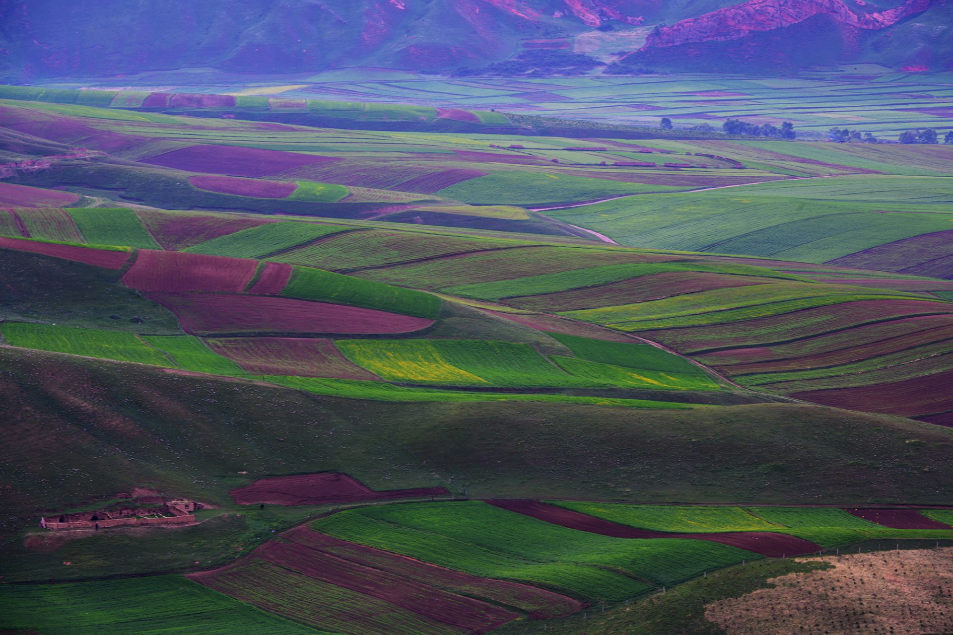 尼康z7最新人像片欣赏图,尼康z7摄影讲解