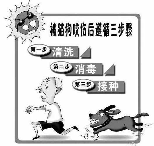 被小孩子咬了需要打狂犬疫苗吗,被别的小孩咬到可以打狂犬疫苗吗