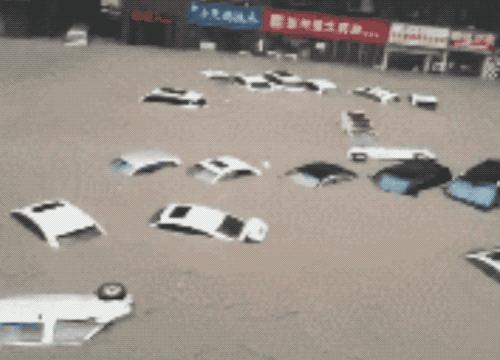 郑州的真实情况,河南郑州真实视频