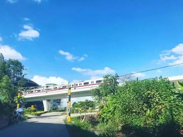 广州地铁直达的打卡地,广州地铁打卡好玩的地方