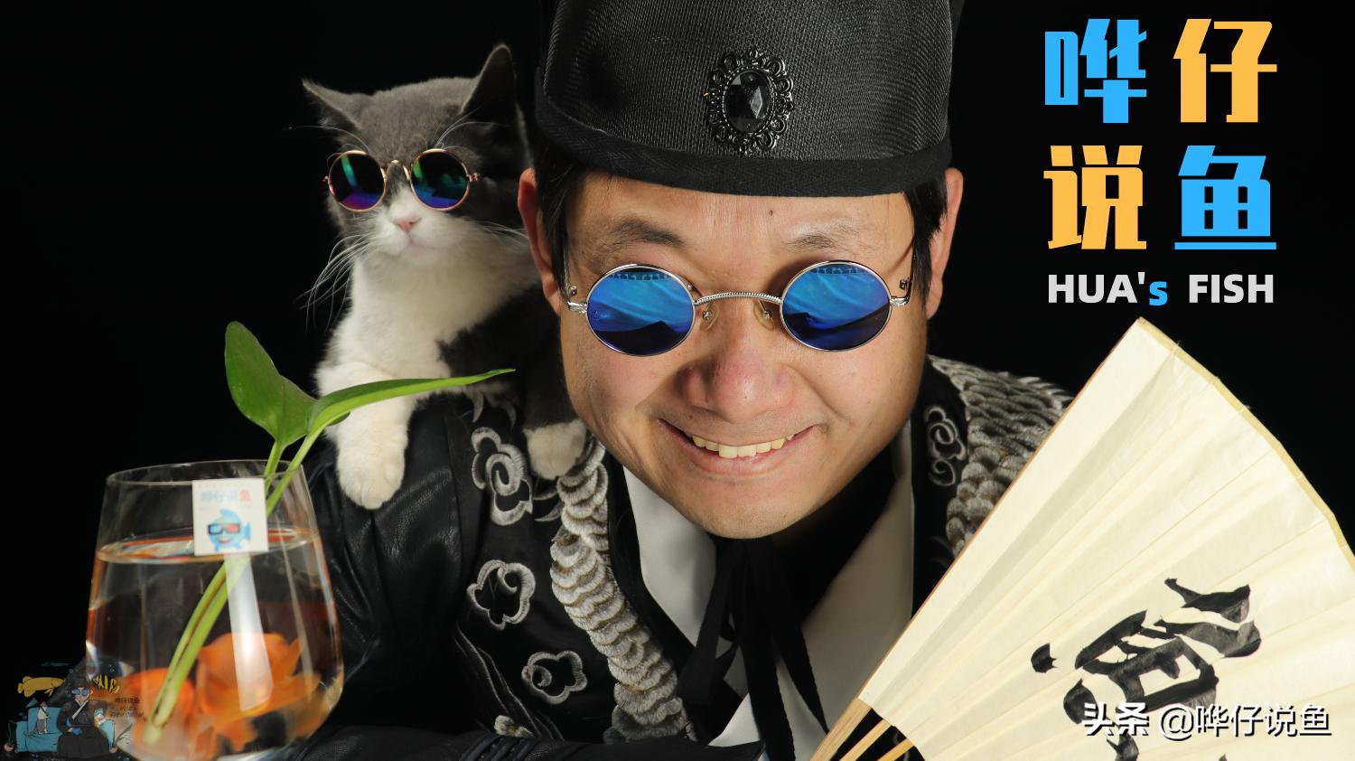 观赏鱼生病的自然疗法,观赏鱼病治疗