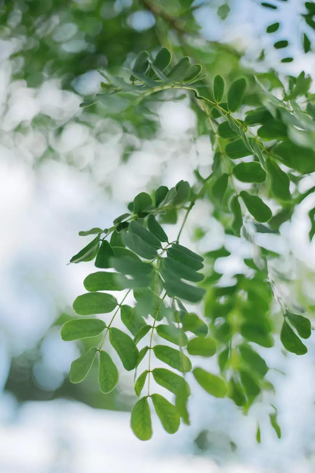厦门摩洛哥民宿,藏在海边的宝藏民宿