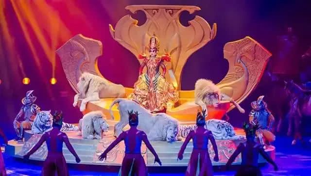 一日长隆野生动物园旅游攻略,长隆野生动物园旅游攻略三天两夜