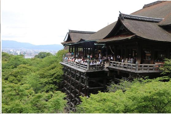 来到日本不能错过章鱼小丸子,来东京不能错过的地方