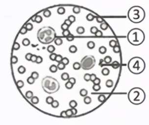 临沂市生物实验操作考试视频,临沂物理实验操作考试试题