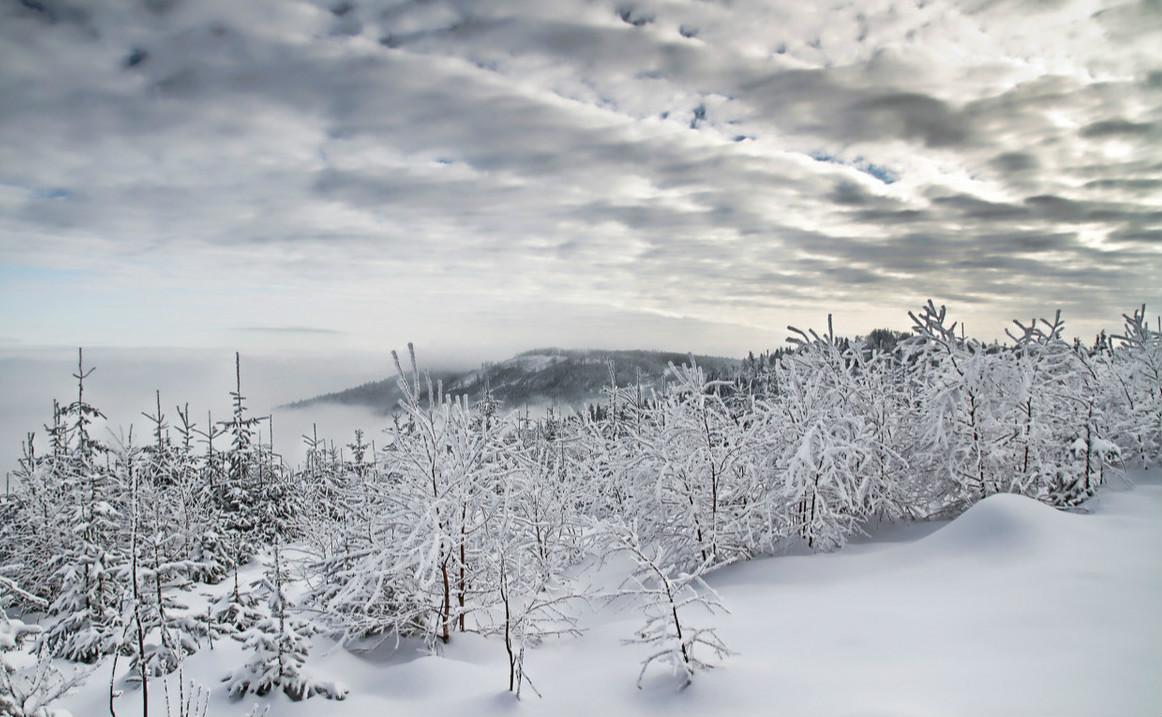 白手起家建立市值1500亿女鞋王国,拥2万家店,却在83岁放弃心血
