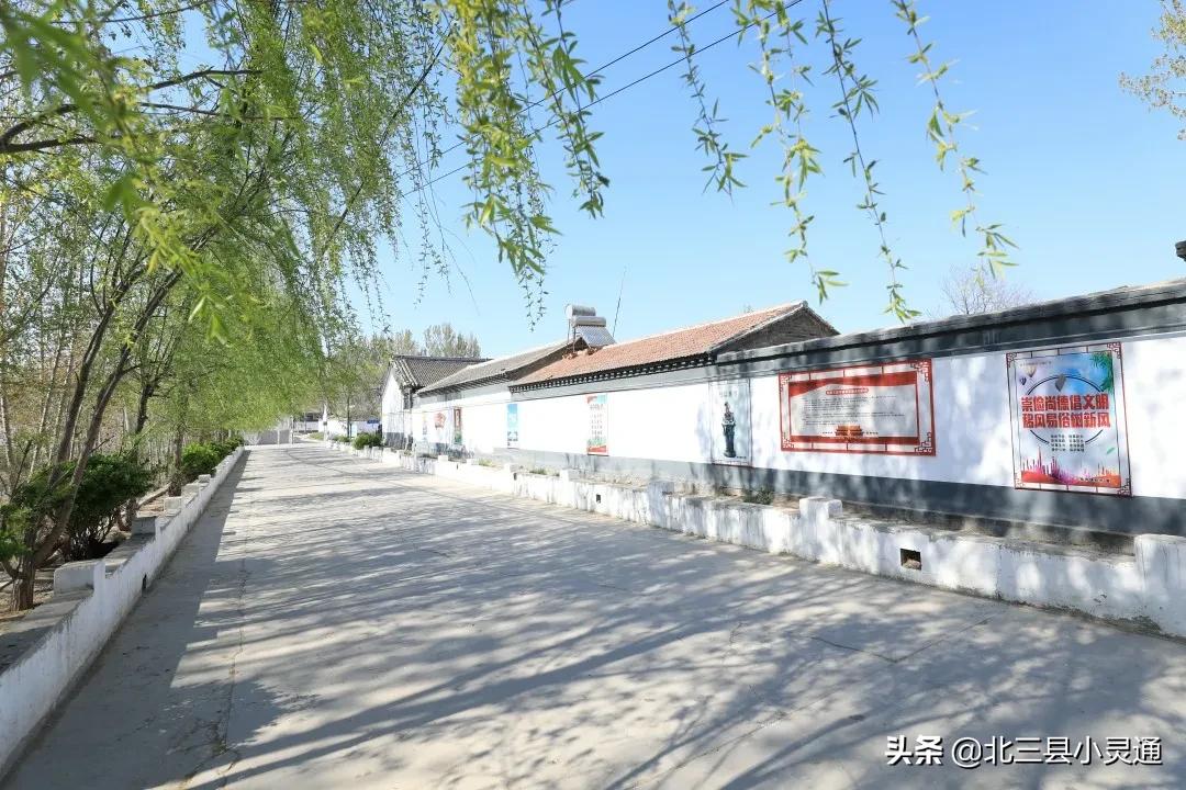 民宿木屋采摘园,休闲观光特色民宿生态采摘