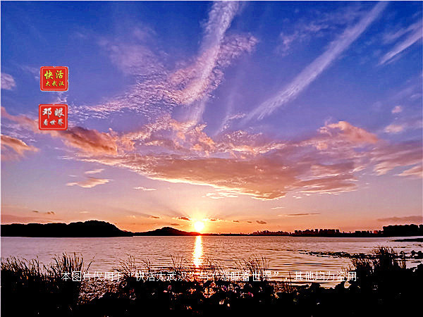 武汉后官湖湿地公园水质清澈风光,后官湖湿地是武汉最小的湿地吗