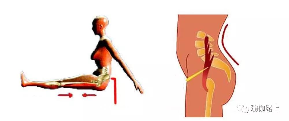 腰部瑜伽深度拉伸预防腰痛效果好,腰痛的拉伸方法之一髂腰肌拉伸