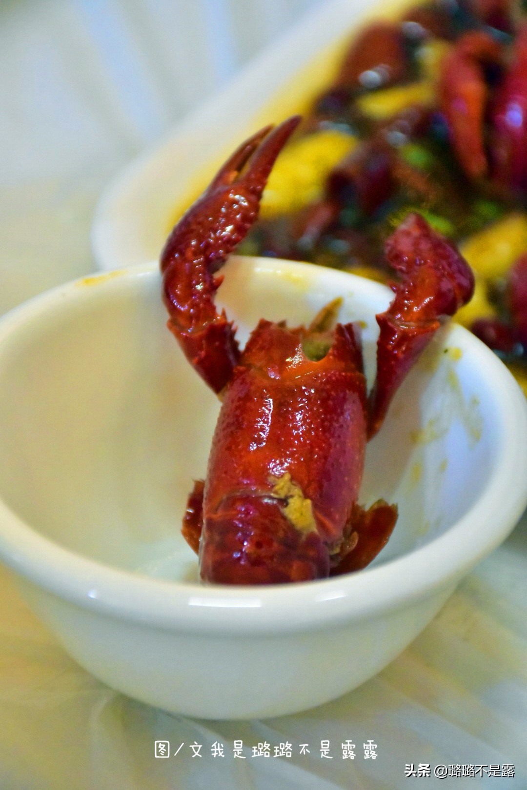 检验鱼最好的方法,怎样鉴别鱼是否是健康的