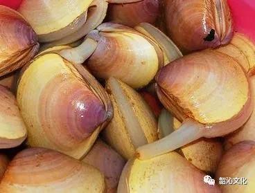 泊里西施舌购买,泊里西施舌