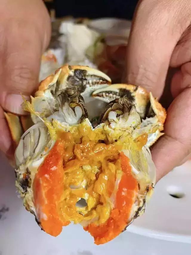 长春好吃的海鲜有哪些,长春高新区吃海鲜哪家好