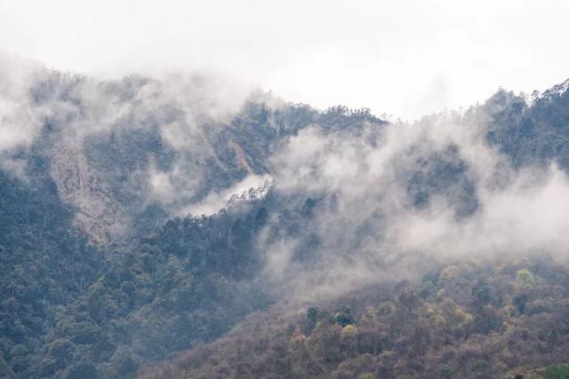 红了！黑竹沟迎颜值巅峰快去穿越五彩童话世界
