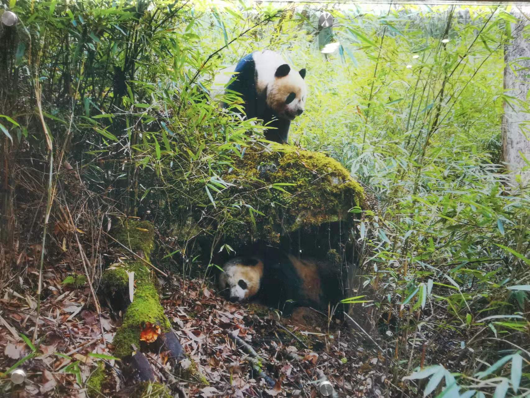 3万人“边城”何以名列国家公园