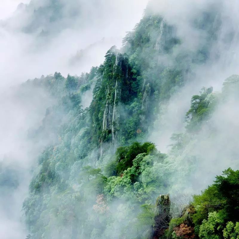 羊狮慕云端音乐节,羊狮慕风景区音乐节