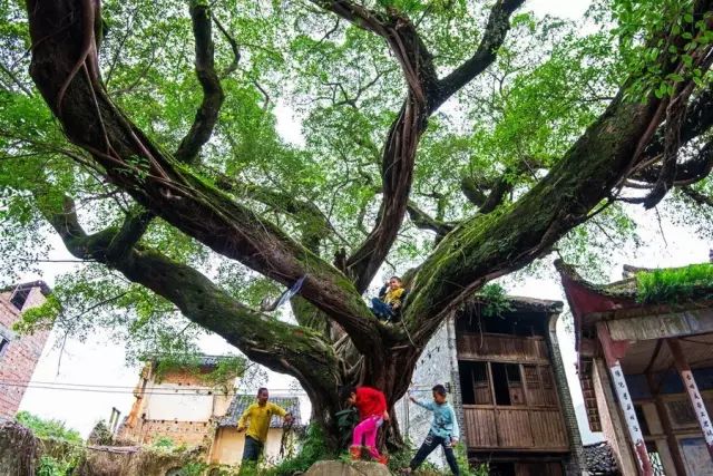 广东旅游攻略自驾游最佳路线,广东旅游攻略自驾游带孩子三天
