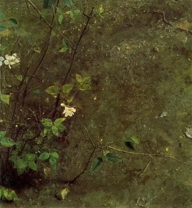 情人节送鲜花祝福语,情人节送满天星花寄语