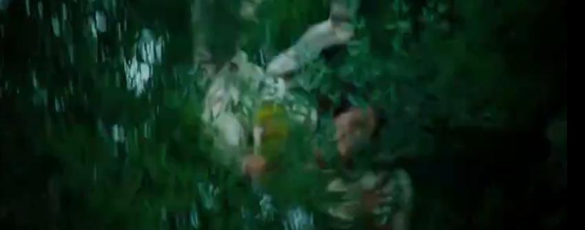 卧虎藏龙恋爱,卧虎藏龙理智与情感