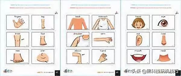三年级上册英语人体部位怎么读,英语人体部位教读