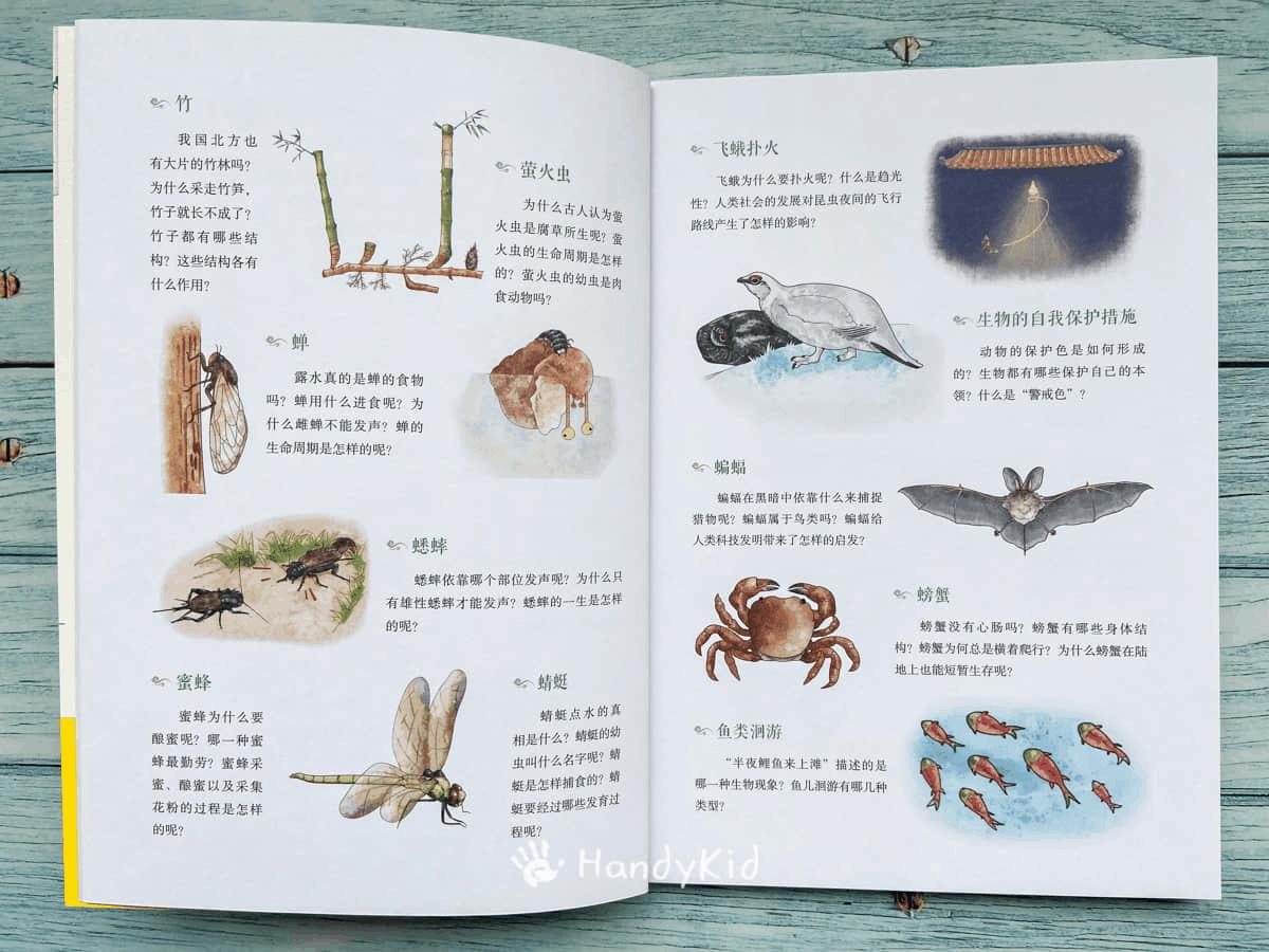 小学古诗背诵常识,古诗中的科学知识点