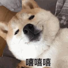 风行限时抢订特价车,风行特惠有什么优惠